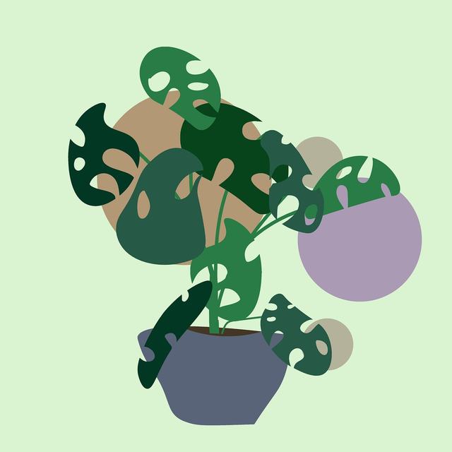 印度寻求美方优惠关税以推动临时贸易协议达成
