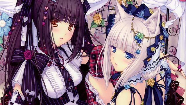 R星大赛-R星大赛最新版vv37安卓版_vfysim安卓网