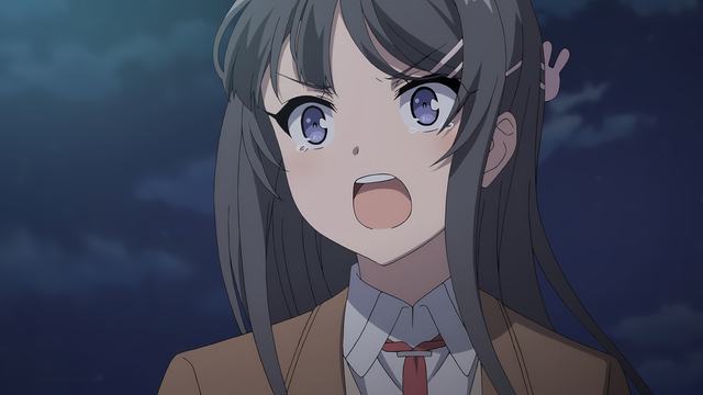 樱花校园模拟器最新版孕妇装